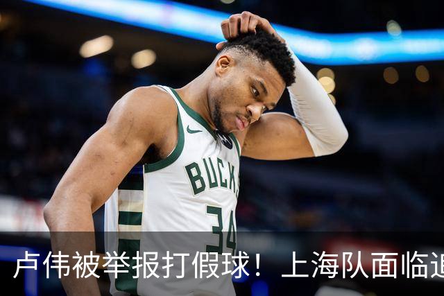 卢伟被举报打假球！上海队面临追罚，张镇麟坑惨球队