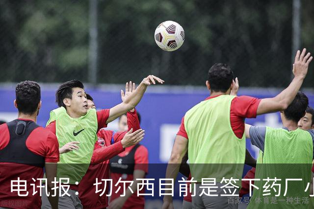 电讯报：切尔西目前是签下药厂小将阿拉伊贝戈维奇的最大热门