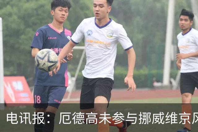 电讯报：厄德高未参与挪威维京风合照拍摄，随后补拍被添加进照片