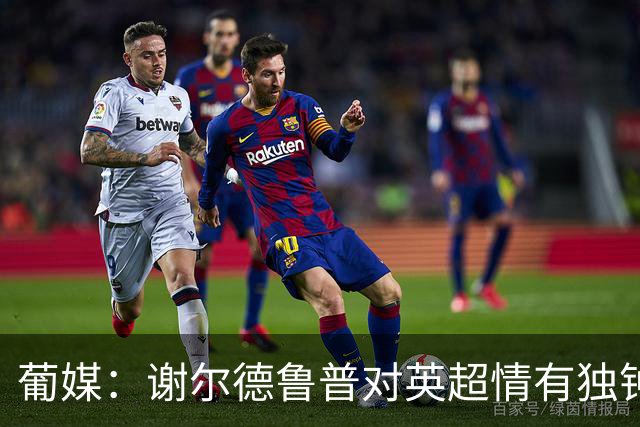 葡媒：谢尔德鲁普对英超情有独钟，俱乐部标价至少4000万欧