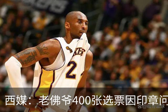 西媒：老佛爷400张选票因印章问题被作废，其团队仍相信将获胜