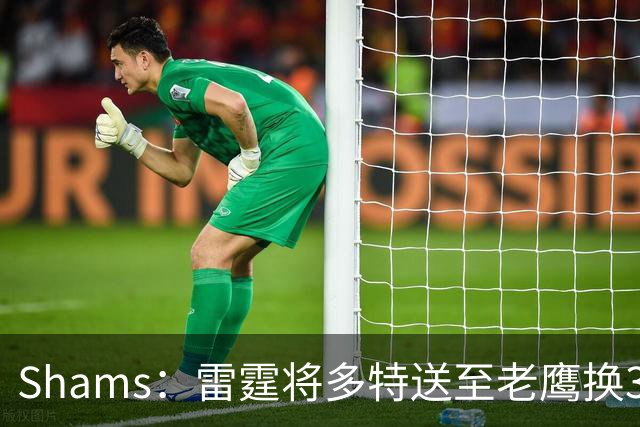 Shams：雷霆将多特送至老鹰换3次轮签 里萨谢赴独行侠